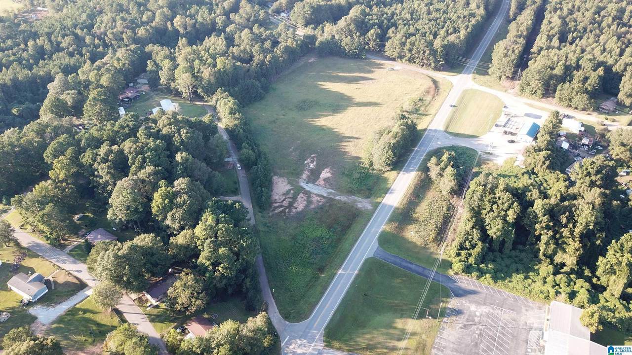4.94 Acres Highway 431 - Photo 1