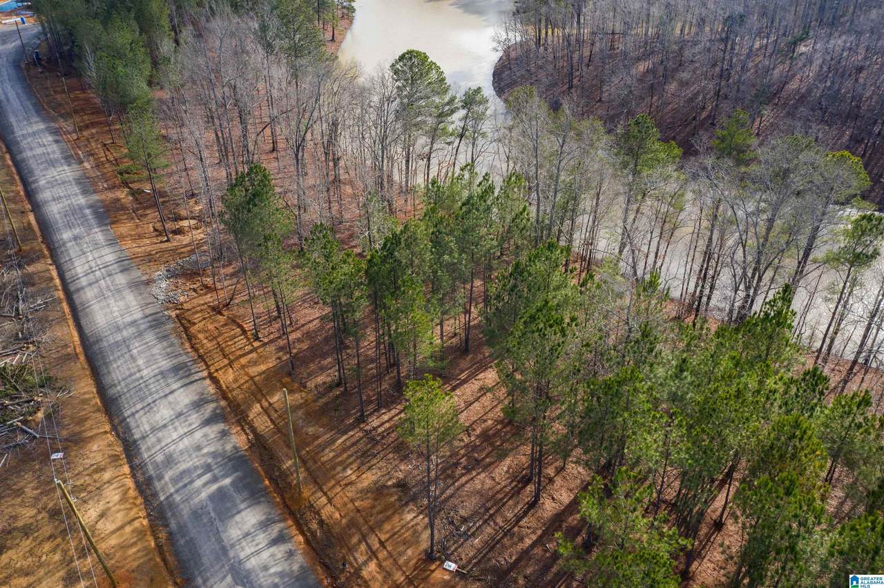 Lot 52 Shoreside Drive - Photo 1