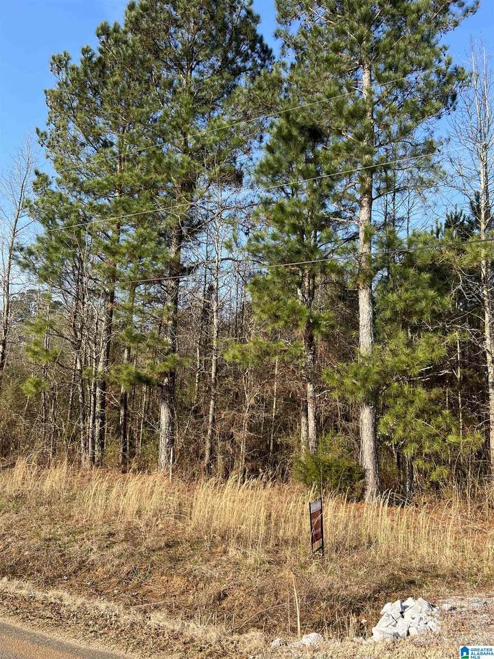 1075 Earl Roberts Road - Photo 1