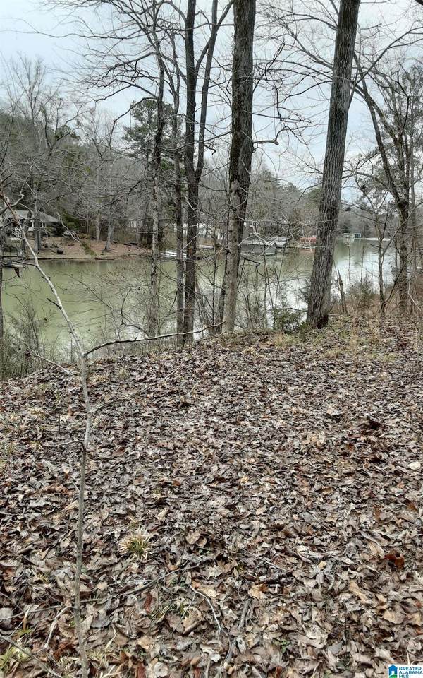 00 Richardson Subdivision Road - Photo 1
