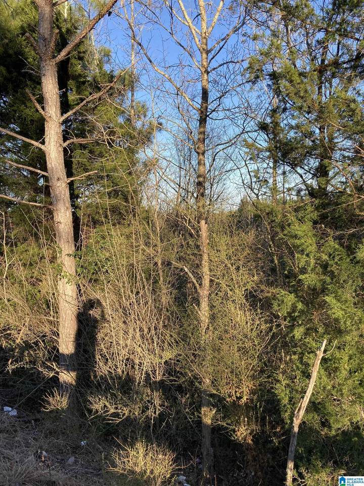 0 Highway 275 - Photo 1