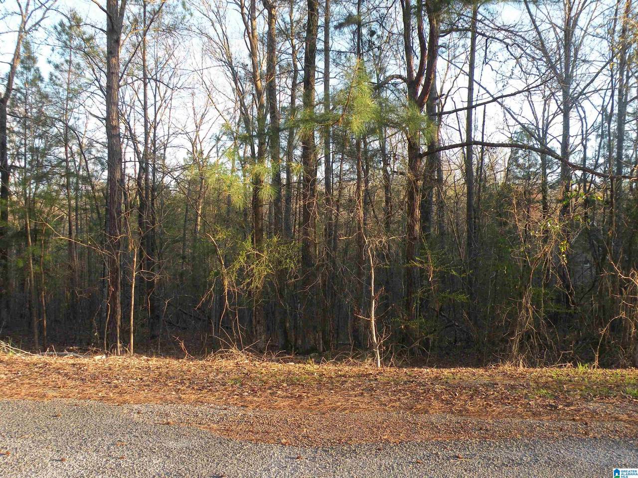0 Billingsley Drive - Photo 1