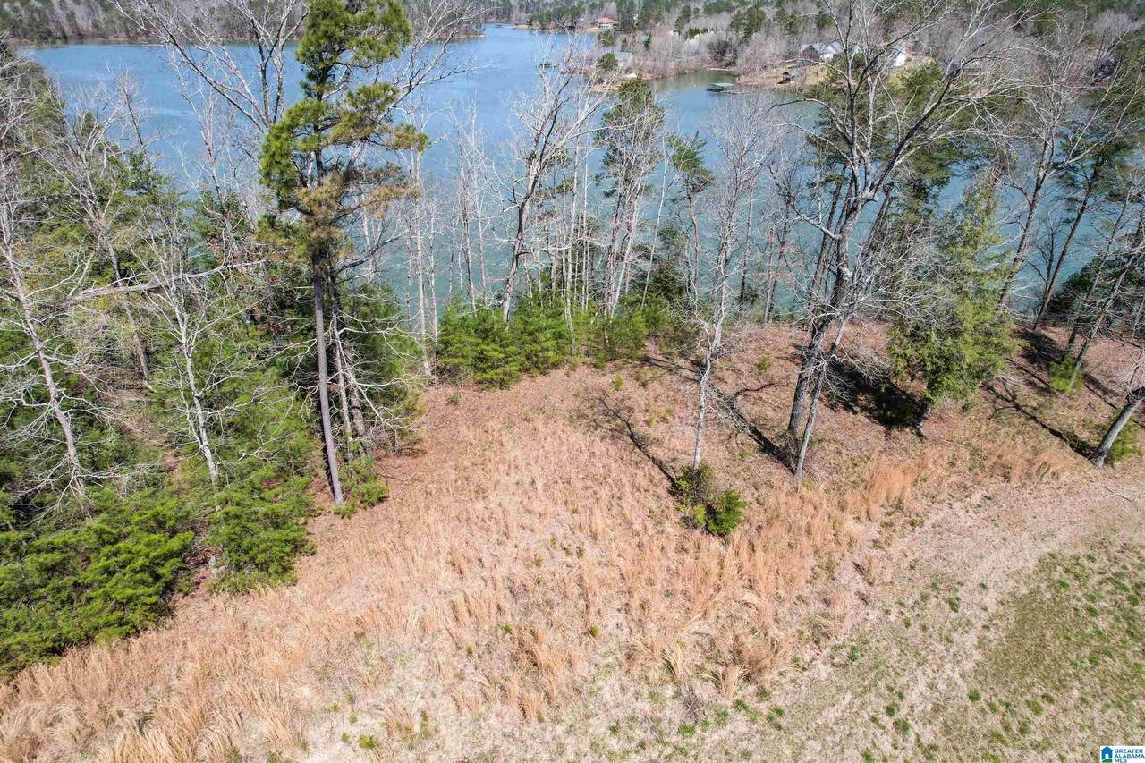 Lot 19 Long Leaf Road - Photo 1