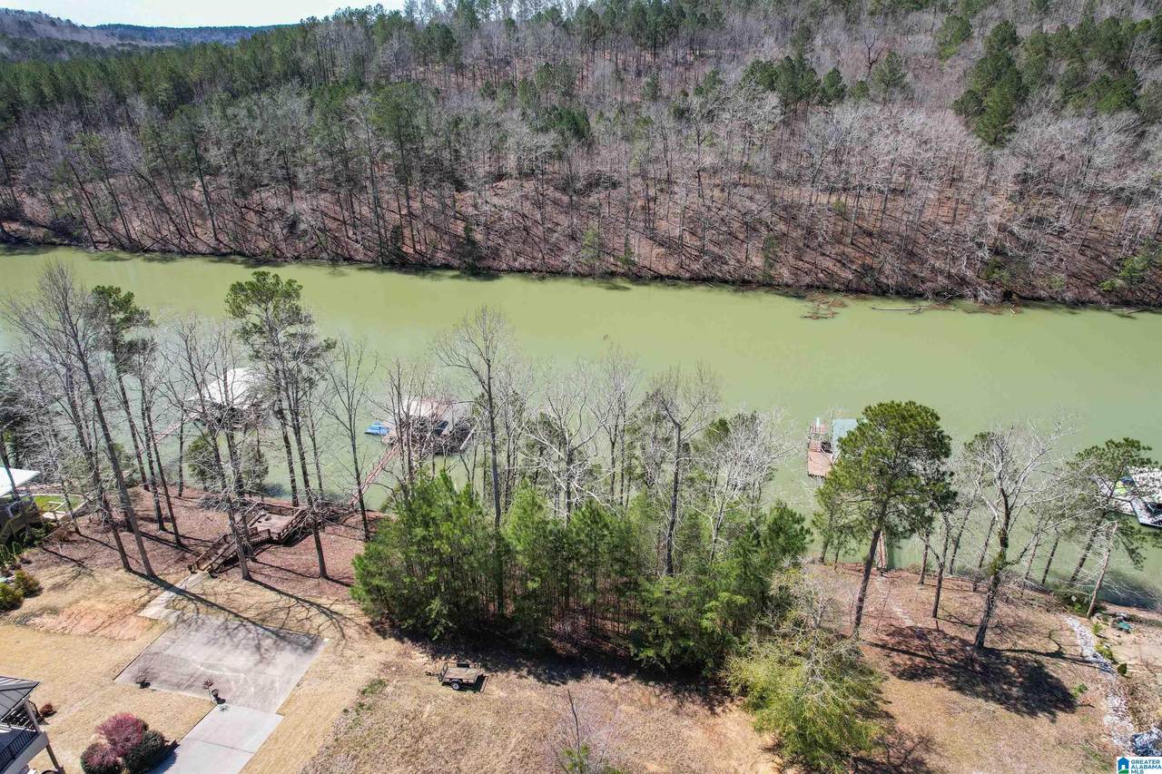 Lot 9 Paradise Trail - Photo 1