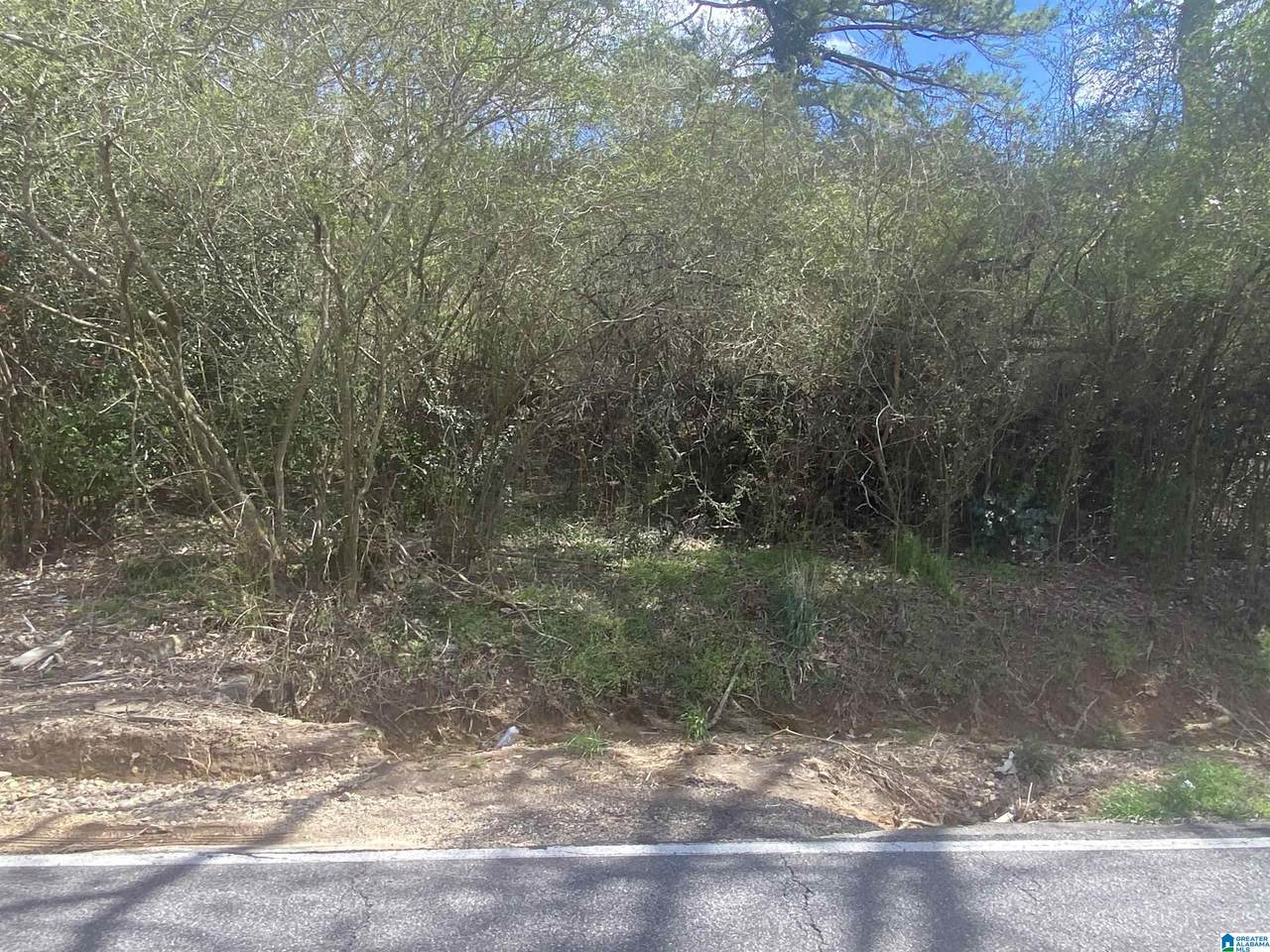2233 Old Springville Road - Photo 1