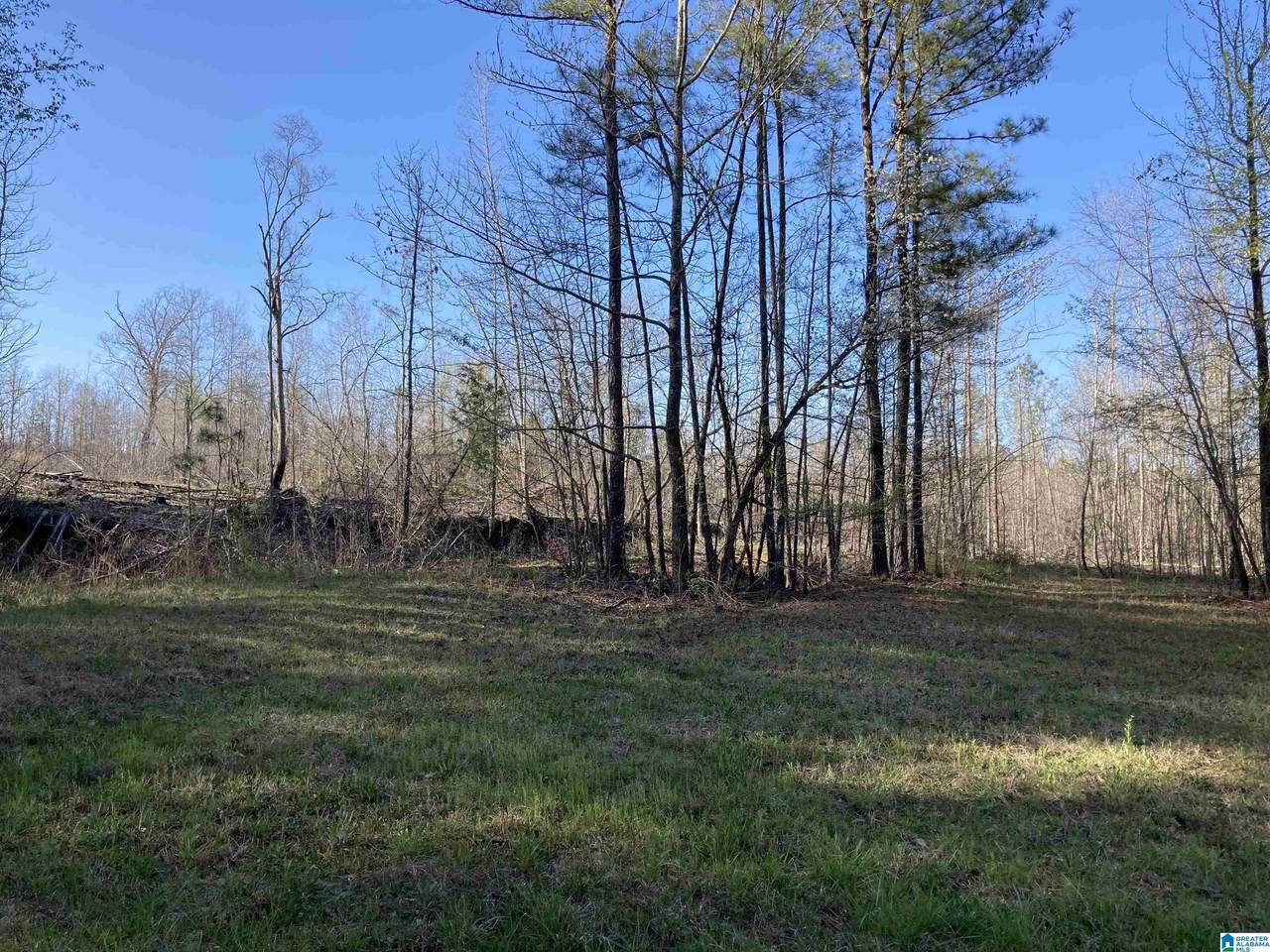0 Jackson Trace Road - Photo 1
