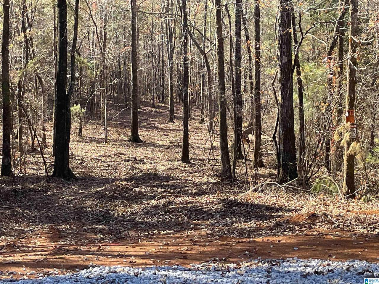 357 Ronbar Road - Photo 1