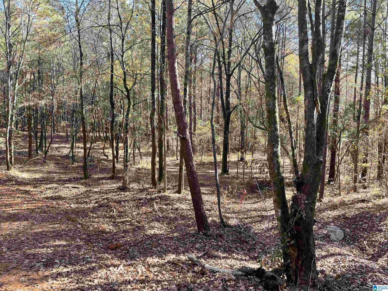 424 Ronbar Road - Photo 1