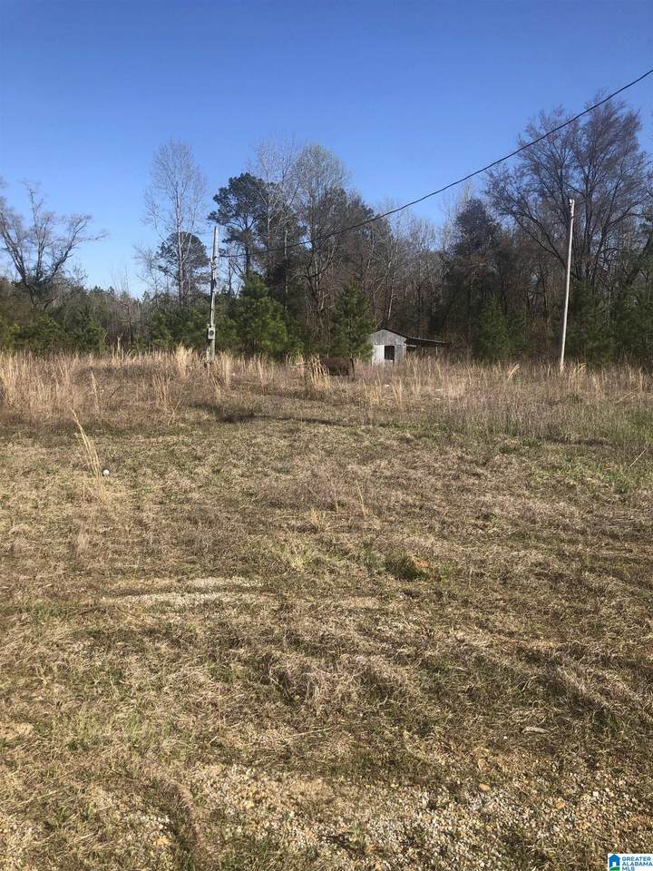 0 County Road 16 - Photo 1