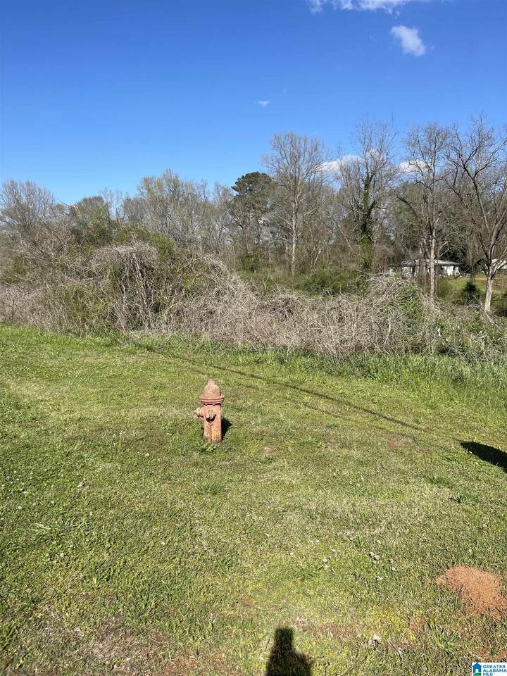 0 Franklin Road - Photo 1