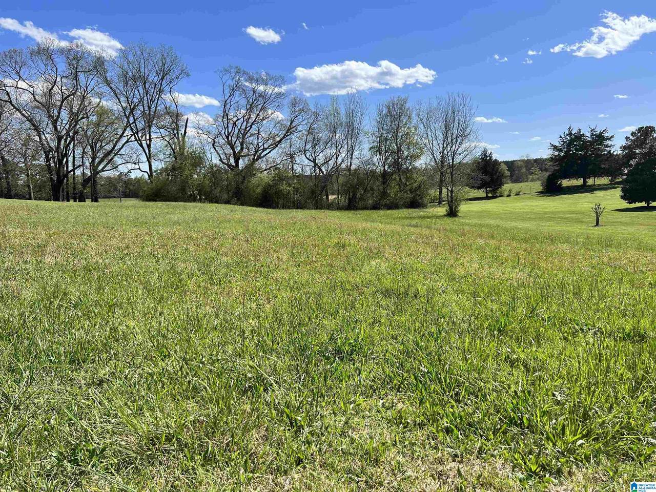 1 Acre Oakview Way - Photo 1