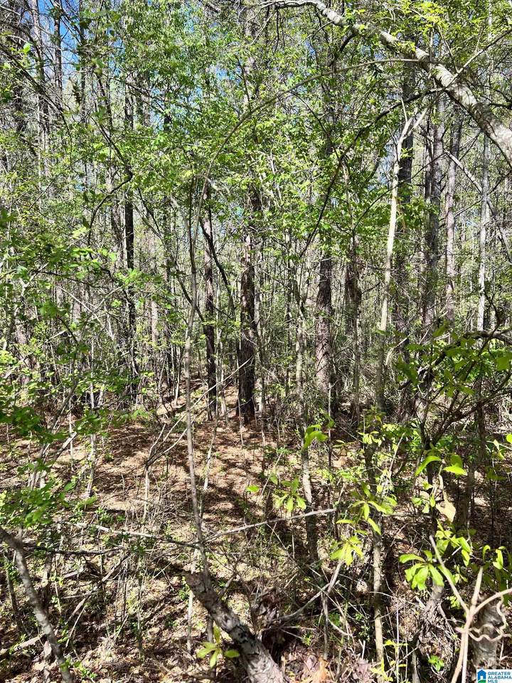 .54 Acres Fairview Drive - Photo 1