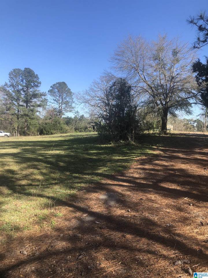 17394 County Road 16 - Photo 1