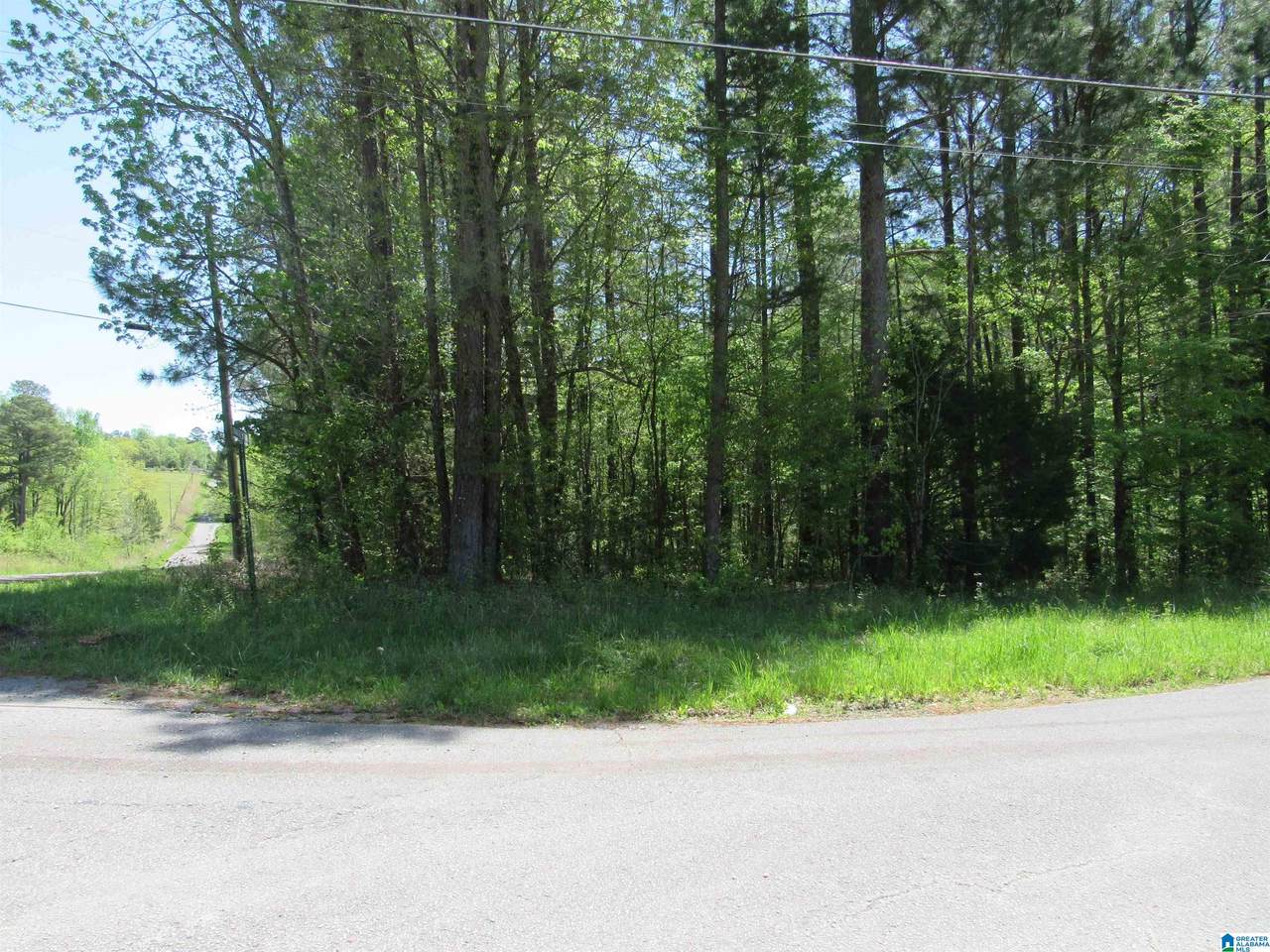 LOT 2 Indian Creek Trail - Photo 1