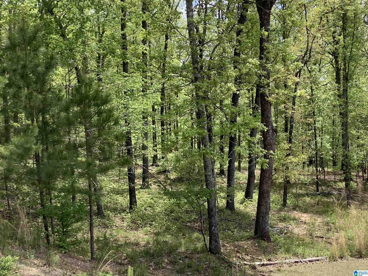 360 Gray Fox Road - Photo 1