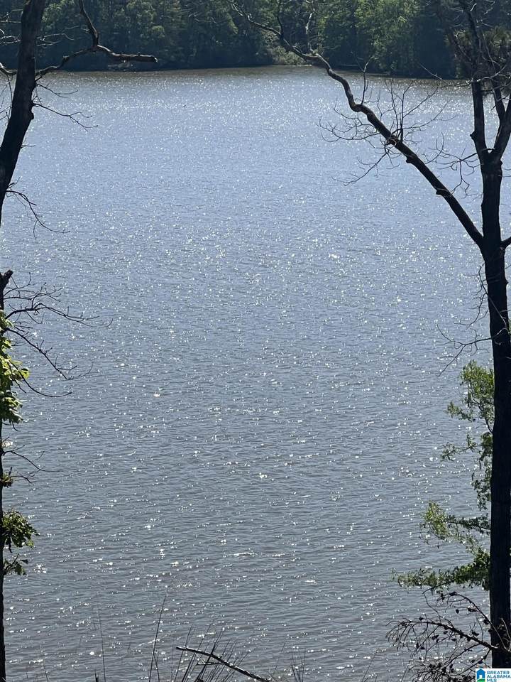 19997 River Drive - Photo 1