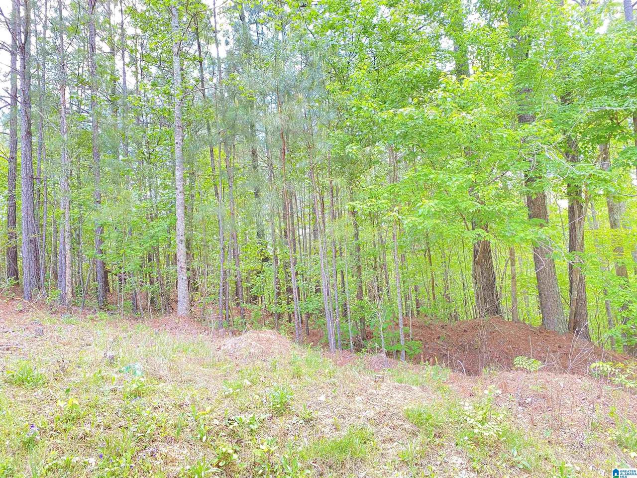 321 Rocky Ridge Road - Photo 1