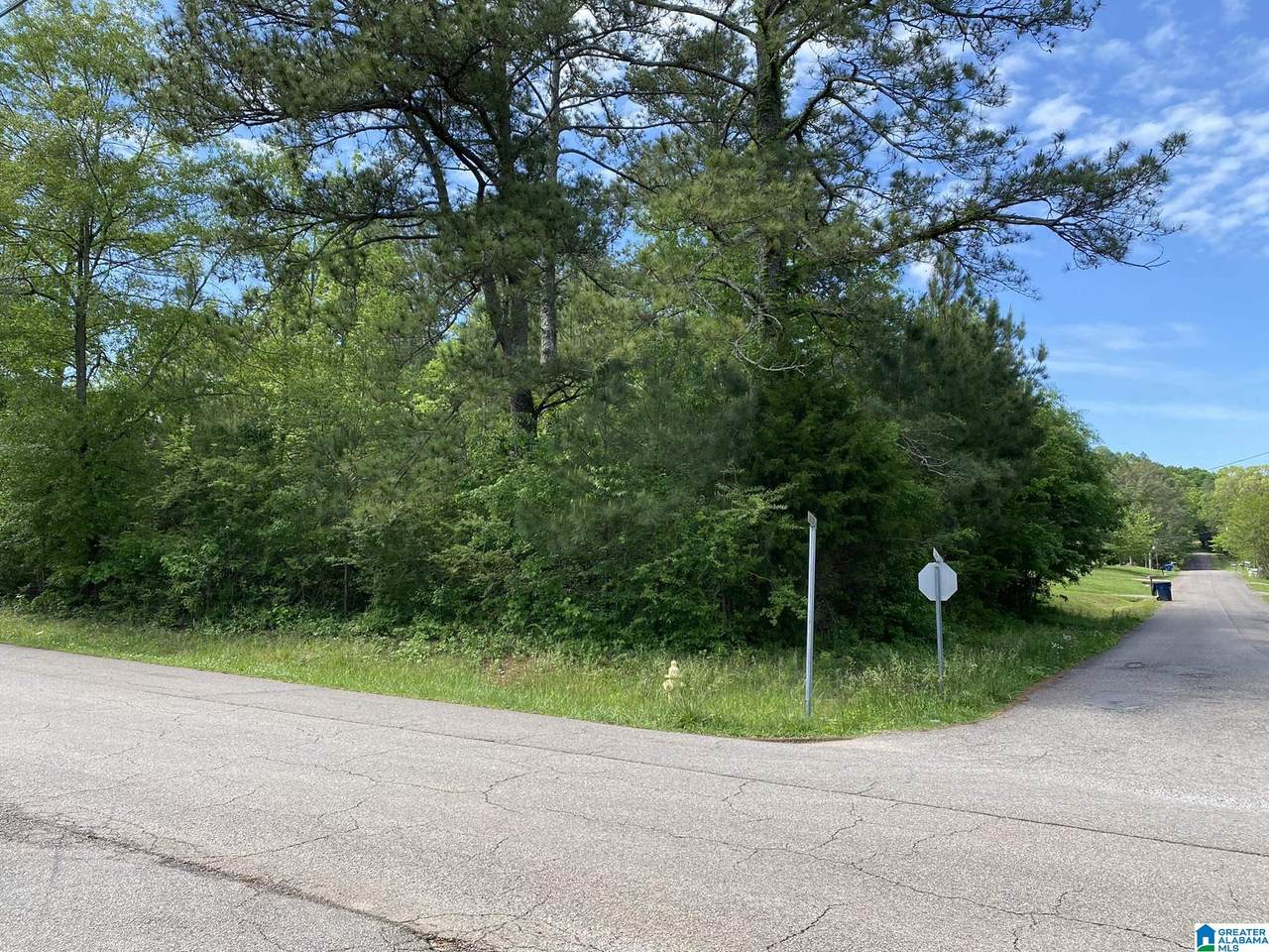 0 Luallen Drive - Photo 1