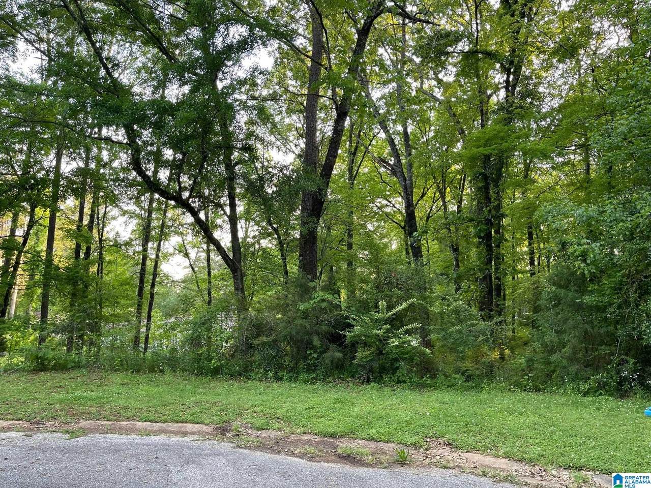 Lot 55 Geronimo Circle - Photo 1