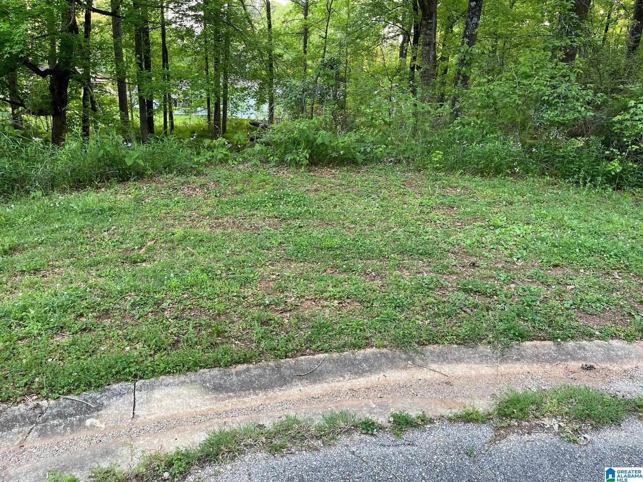 Lot 56 Geronimo Circle - Photo 1