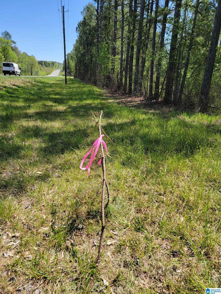 5470 Highway 70 - Photo 1