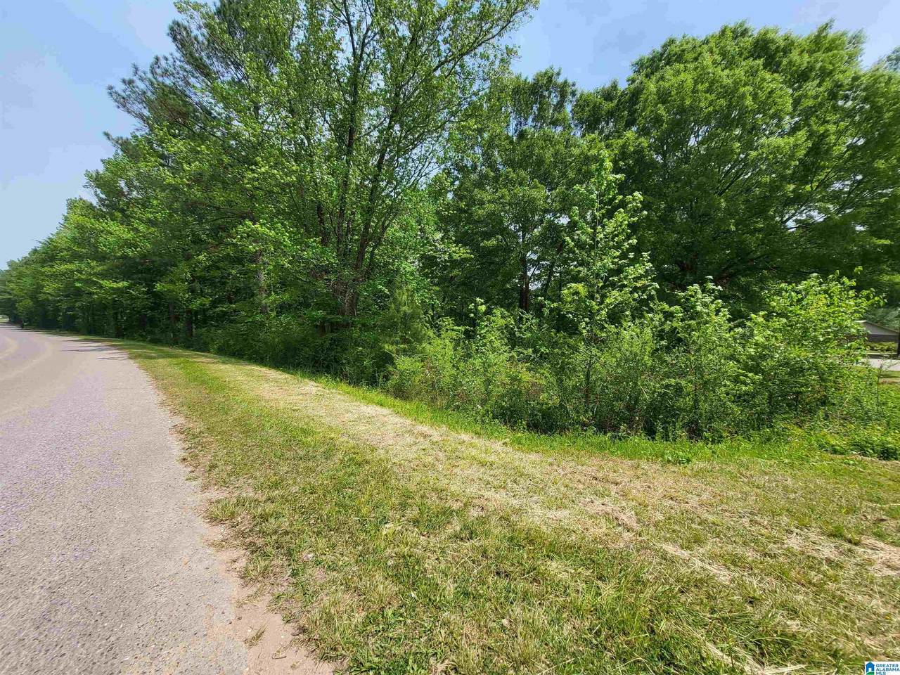 0 Welch Avenue - Photo 1
