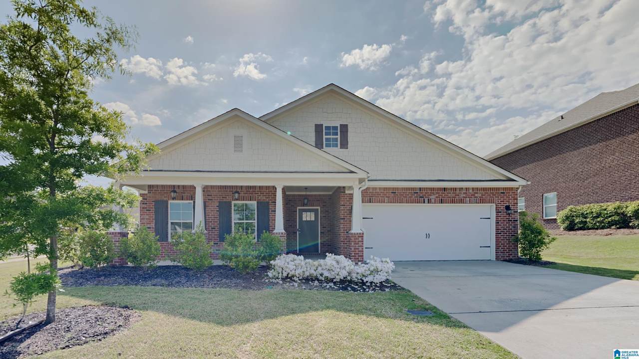 7029 Elm Crest Circle - Photo 1