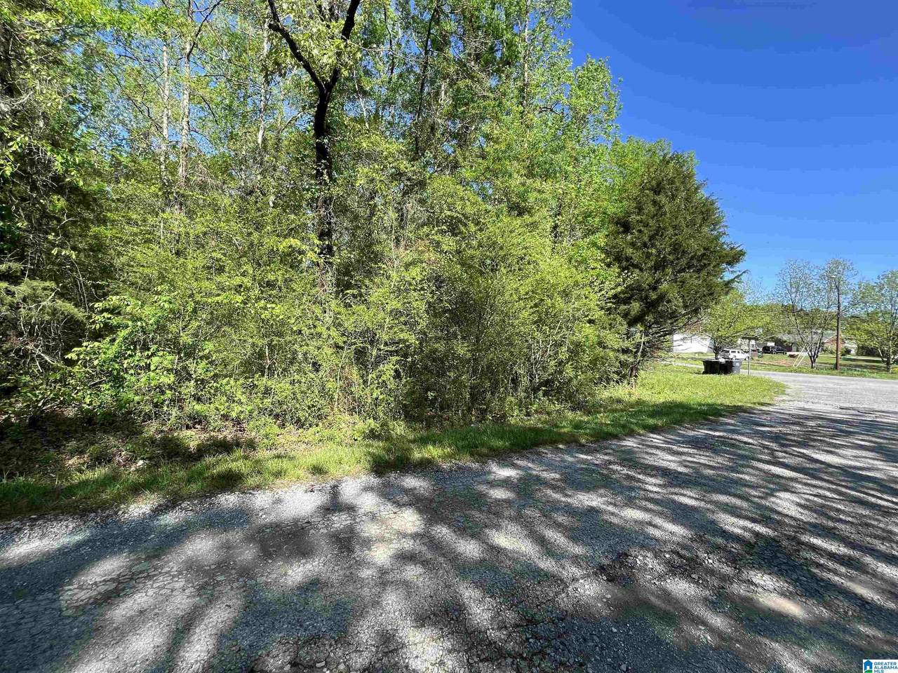 68 County Road 213 - Photo 1