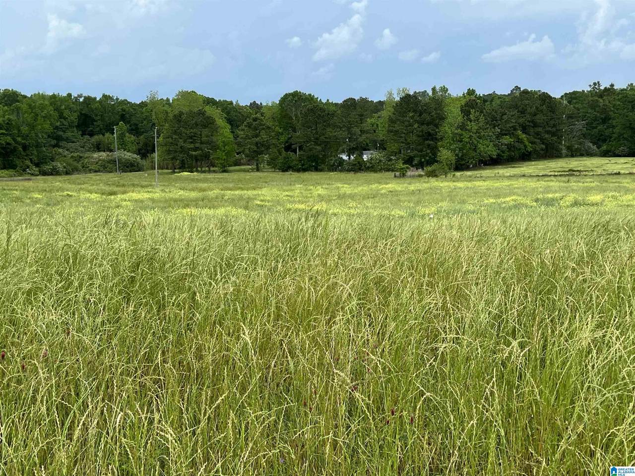 4001 County Road 21 - Photo 1