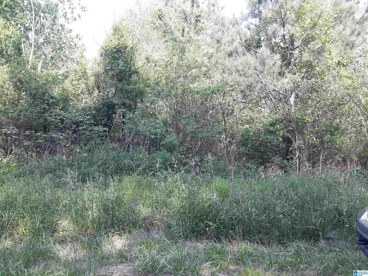 879 Lual Drive - Photo 1