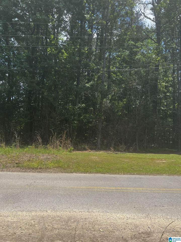 0 11TH AVENUE - Photo 1