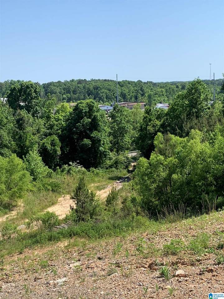 Old Highway 280 - Photo 1
