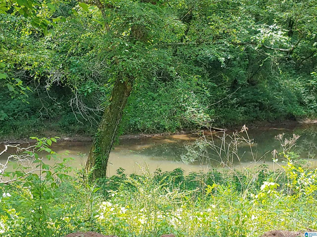 0 County Road 44 - Photo 1