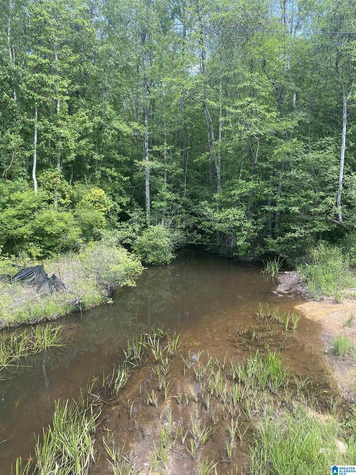0 County Road 359 - Photo 1