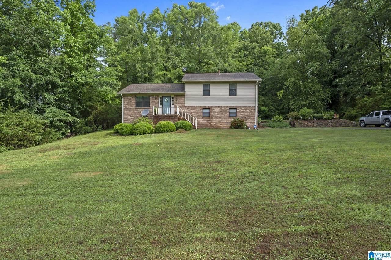 61616 Highway 231 - Photo 1