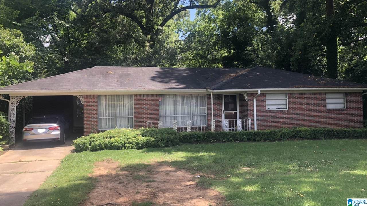 205 Chickasaw Drive - Photo 1