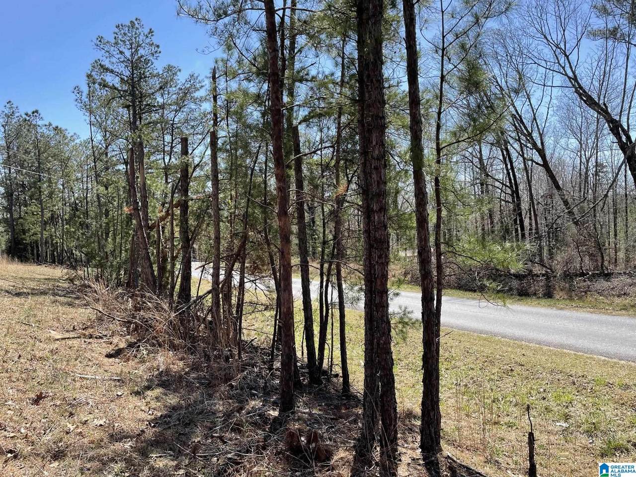 3661 County Road 48 - Photo 1
