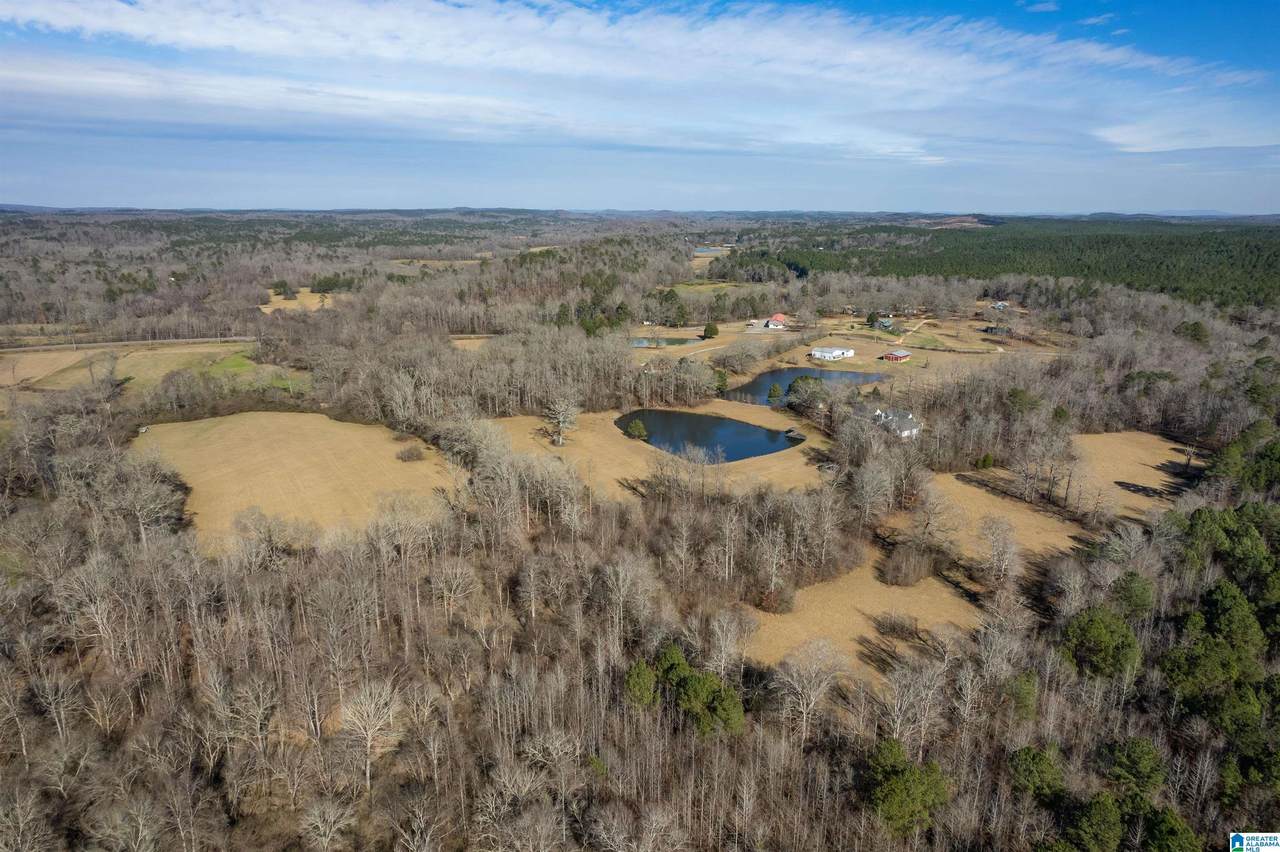 4875 Camp Creek Road - Photo 1