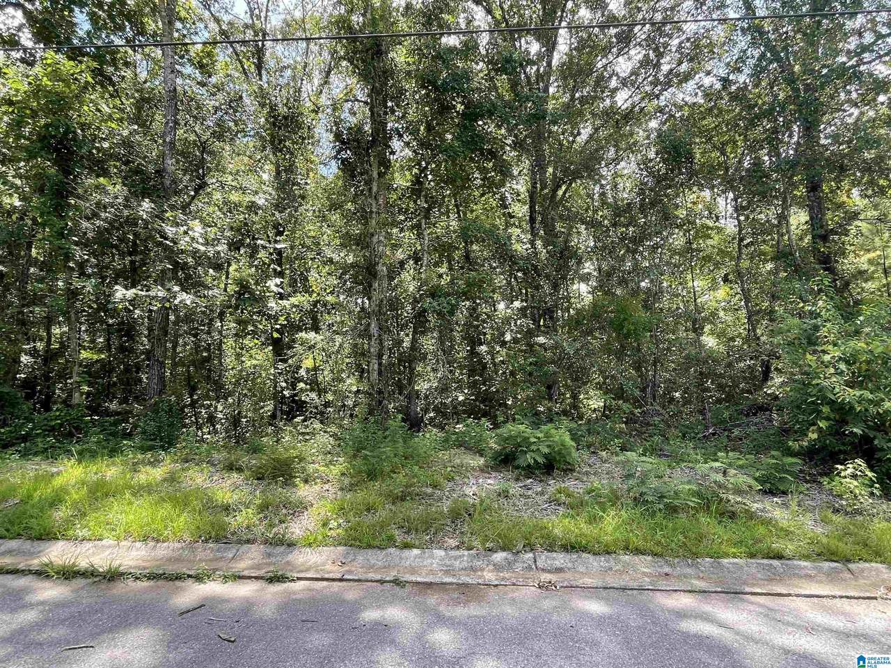 0 Wilson Glen Drive - Photo 1