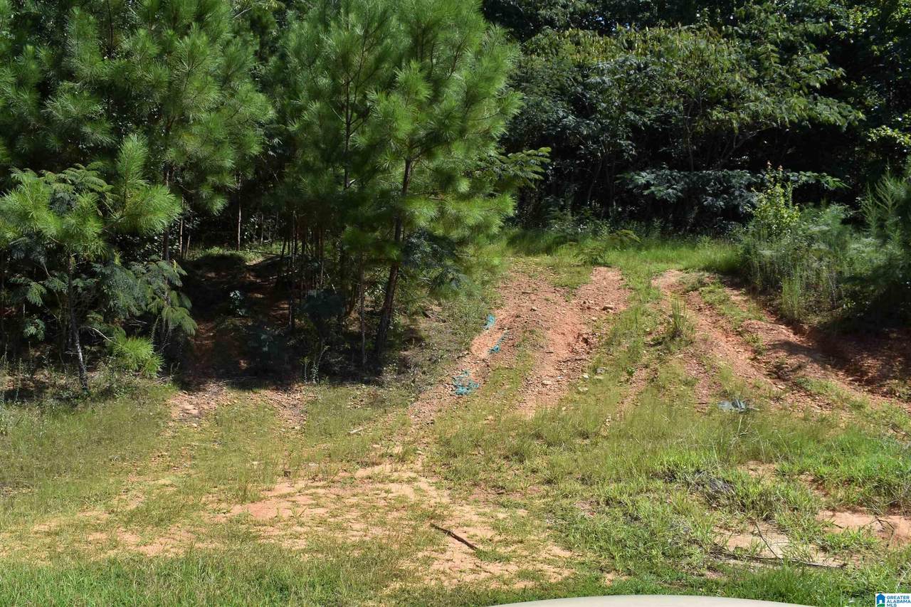 4410 Sharon Church Road - Photo 1