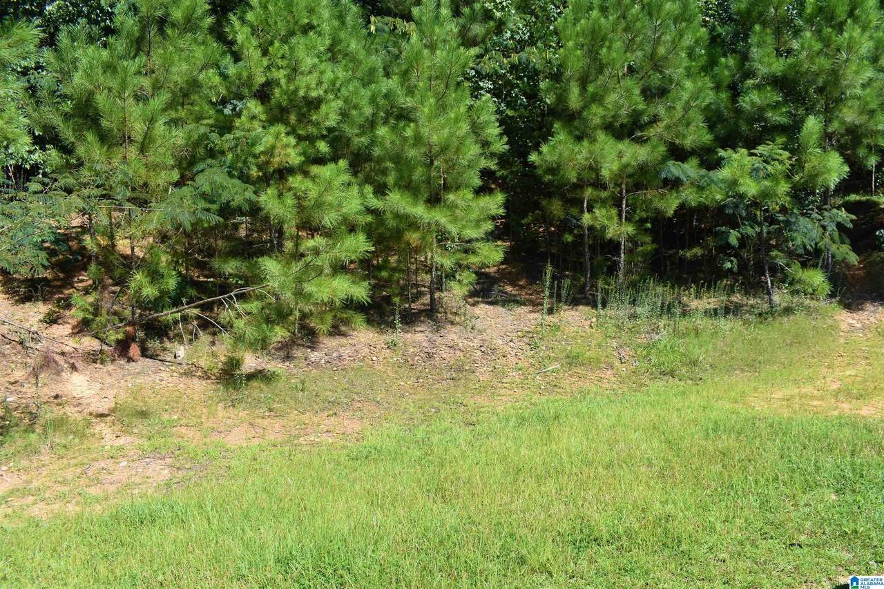 7501 Frontier Trail - Photo 1
