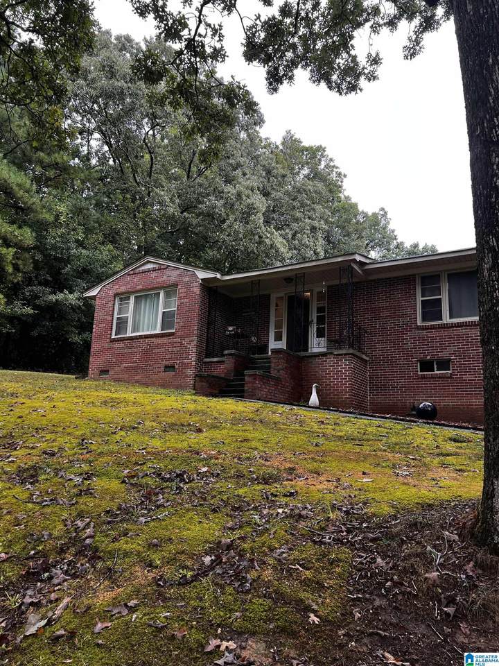 26 Sunkist Place - Photo 1