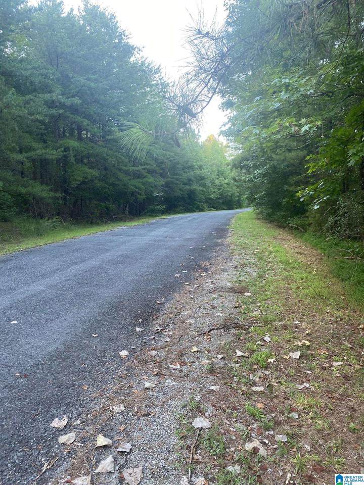 0 Ridge View Drive - Photo 1