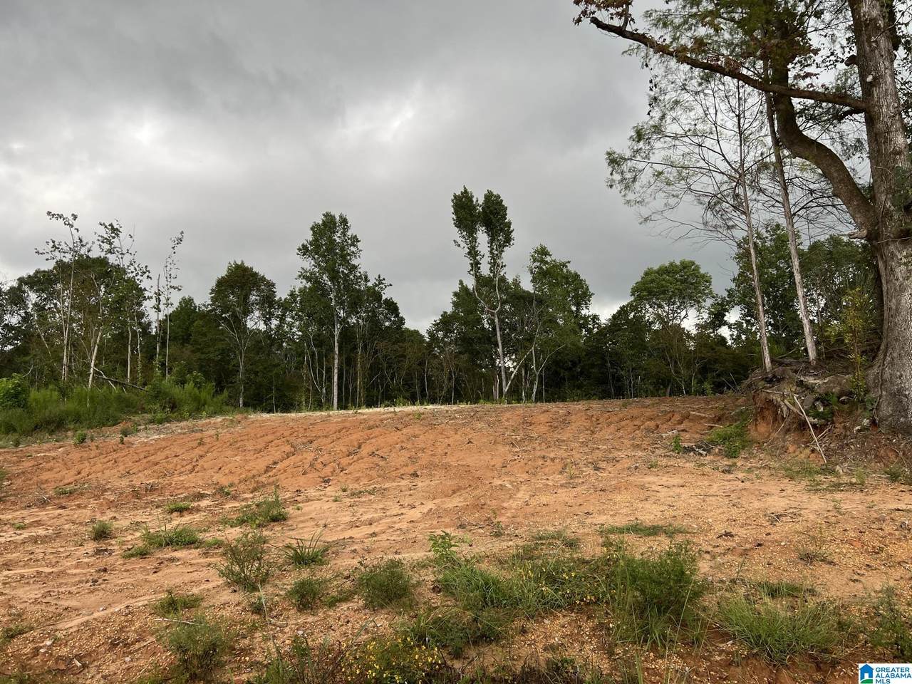 Pinhook Road - Photo 1