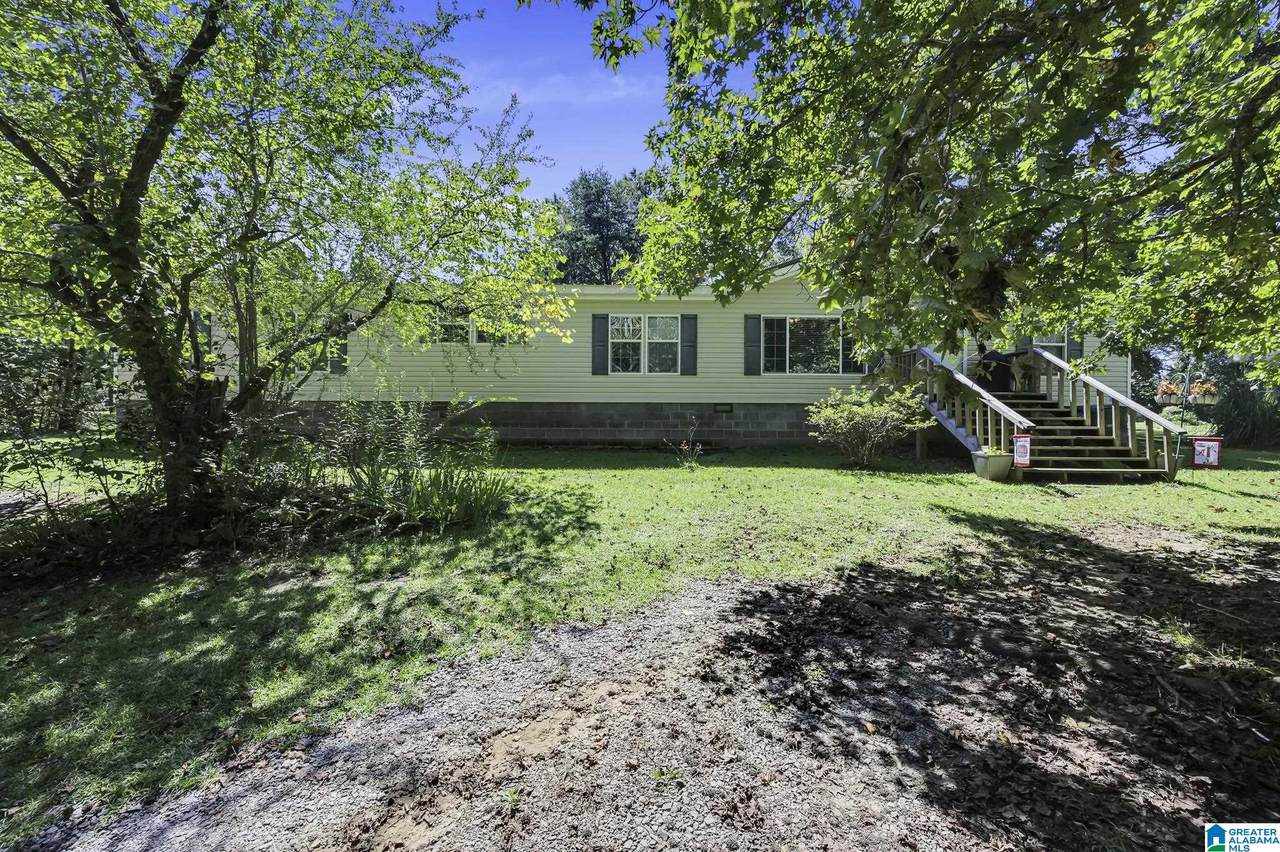 431 County Road 244 - Photo 1