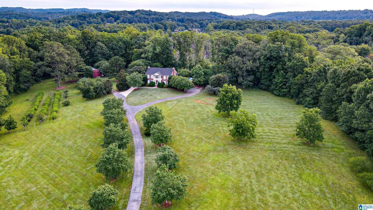 8097 Gadsden Highway - Photo 1
