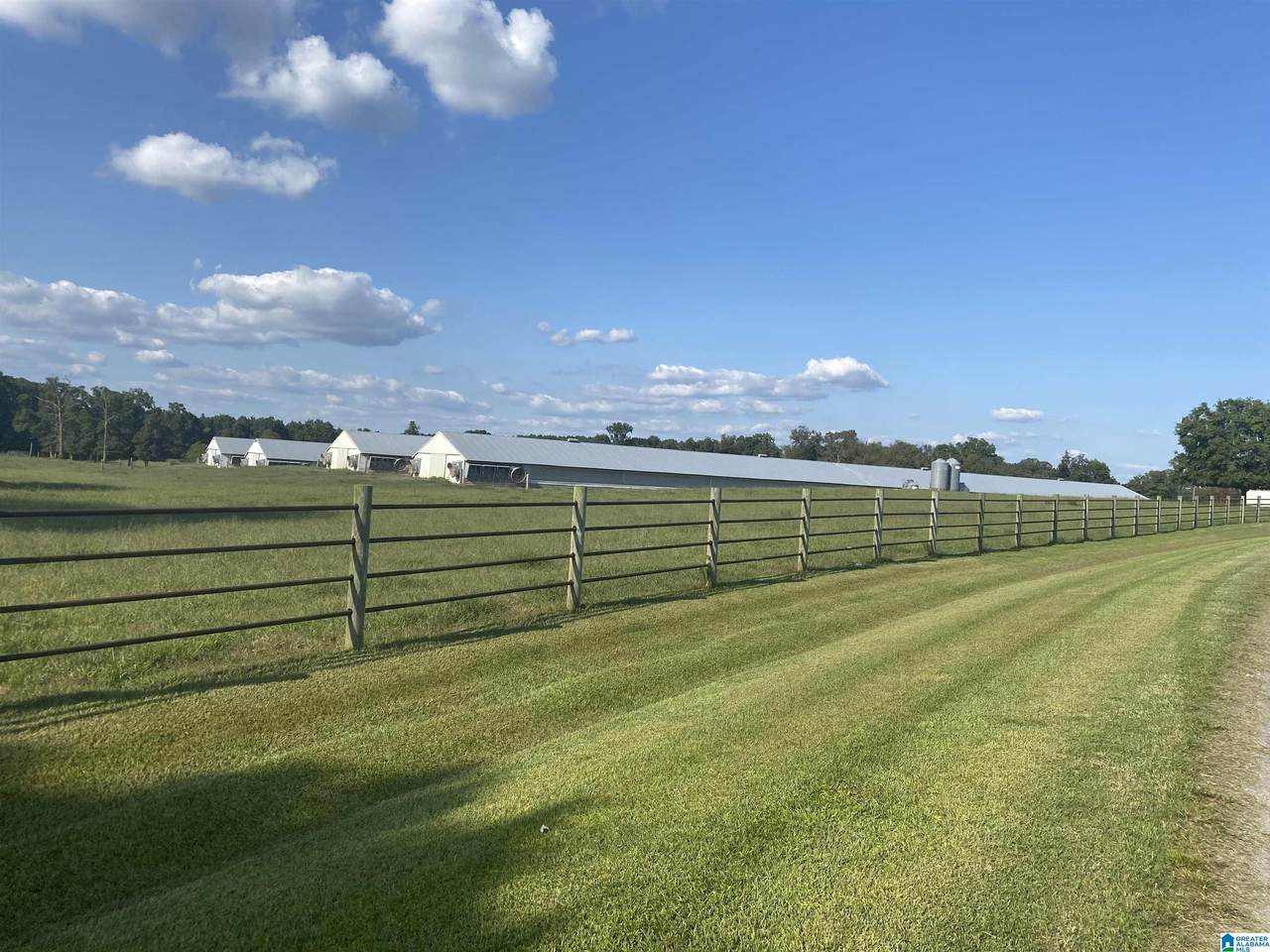 416 County Road 415 - Photo 1