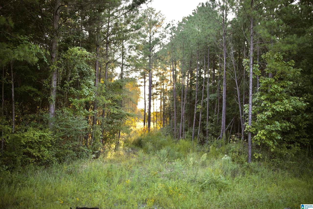 0 Frost Road - Photo 1