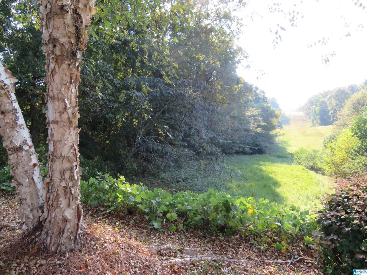 Lot 38 Saint Simons Way - Photo 1