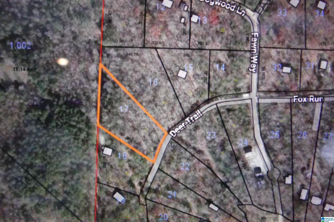 Lot 17 Deer Trail - Photo 1